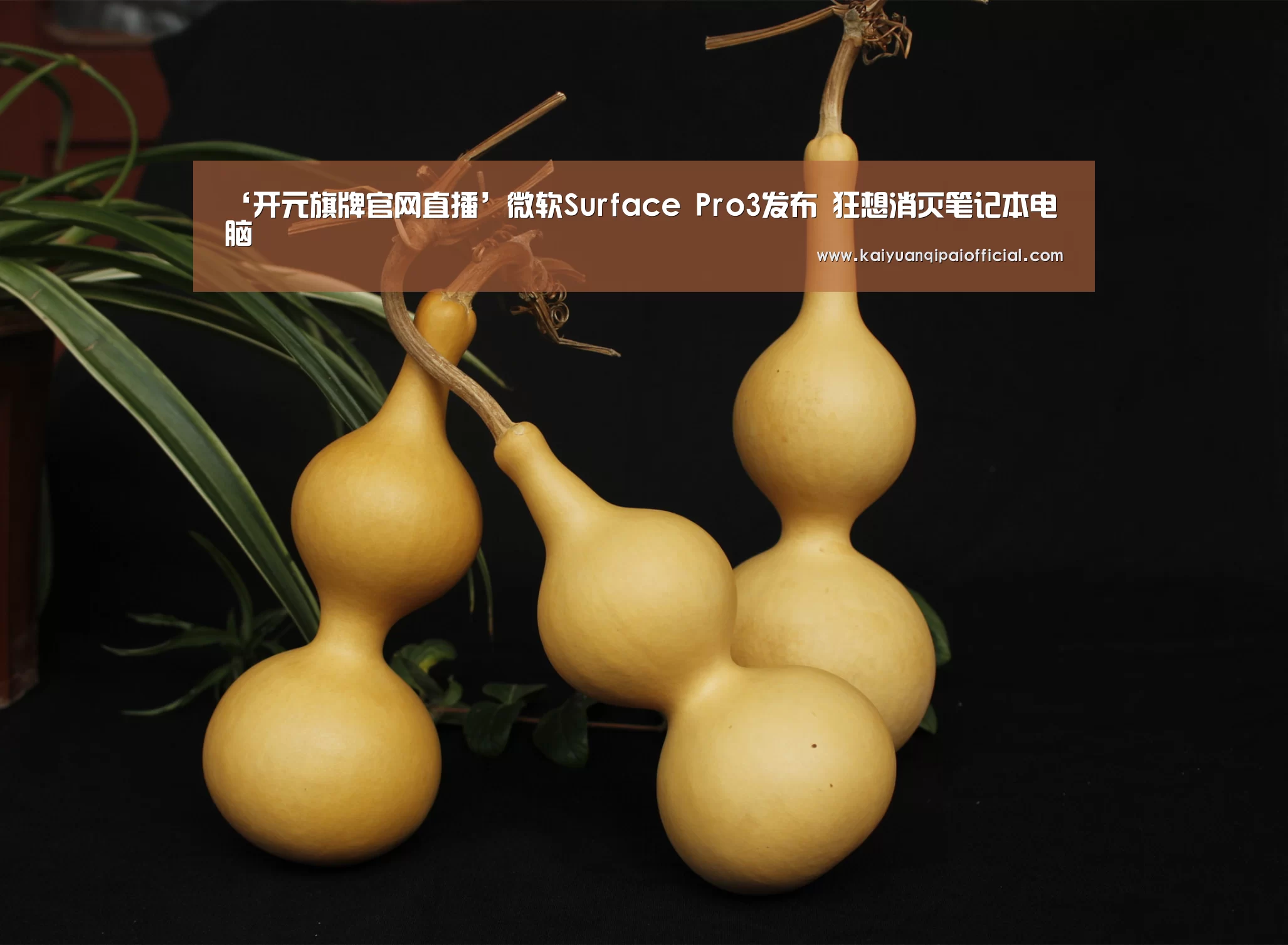开元旗牌软件