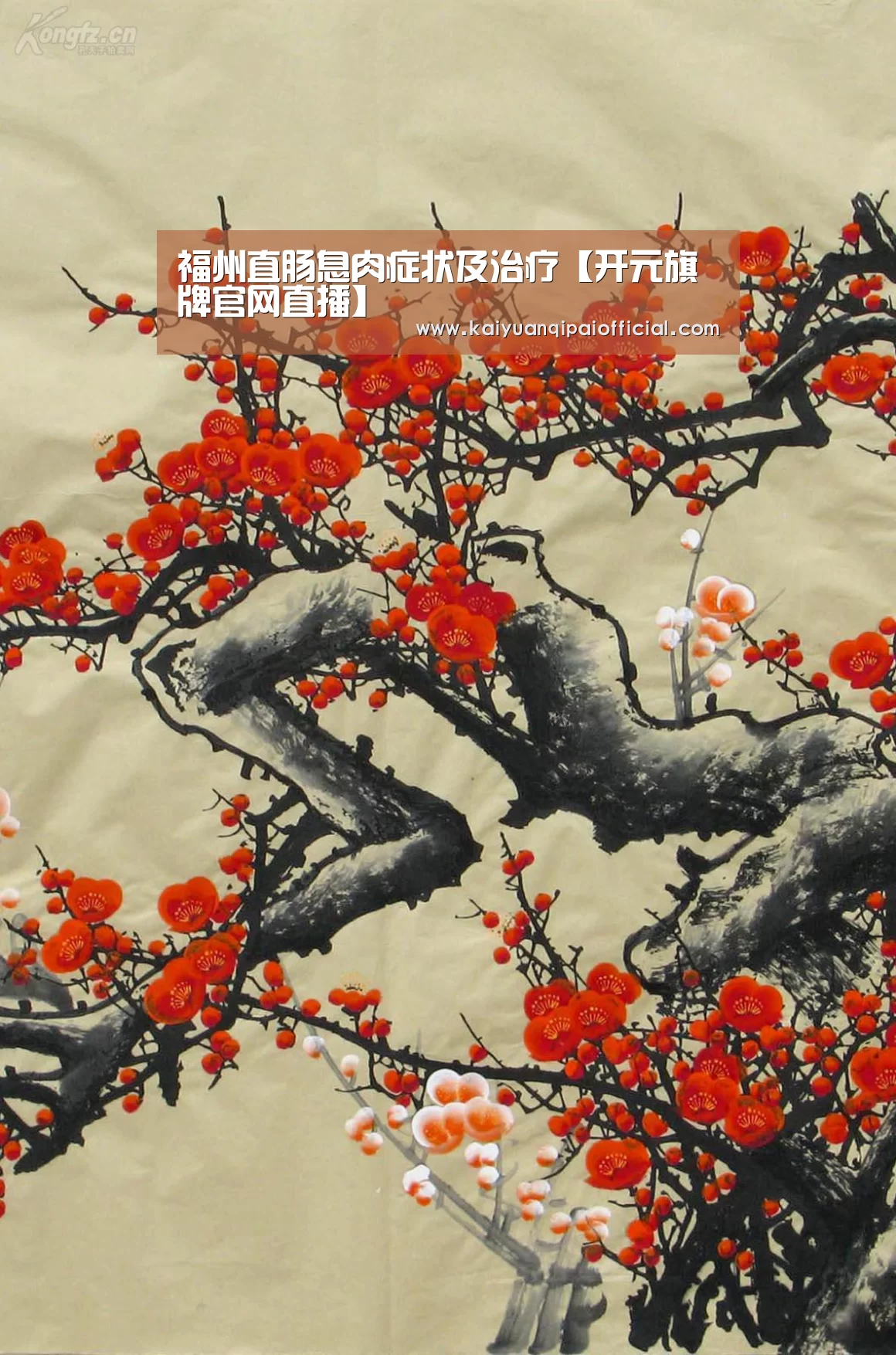 福州直肠息肉症状及治疗【开元旗牌官网直播】(图3) 开元旗牌软件