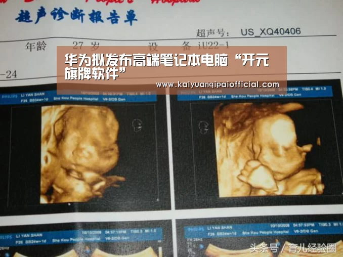 华为拟发布高端笔记本电脑“开元旗牌软件”(图1) 开元旗牌官网直播