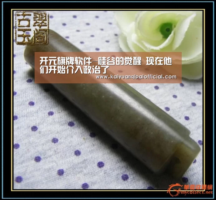 开元旗牌软件-硅谷的觉醒 现在他们开始介入政治了(图2) 开元旗牌官网