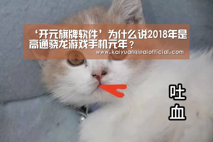 ‘开元旗牌软件’为什么说2018年是高通骁龙游戏手机元年?(图3) 开元旗牌官网直播